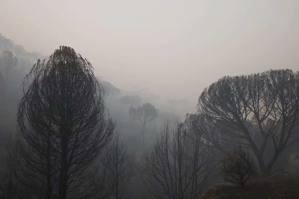 Fire Keys | Burned Hectares, Evacuations, and Closed Roads