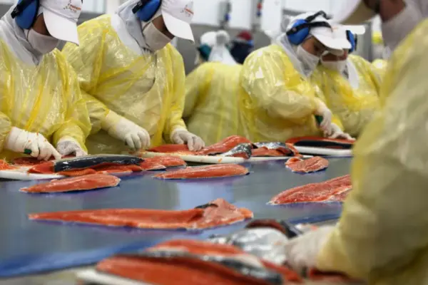 Kast's government seeks to save salmon, cherries, and wine from US tariffs