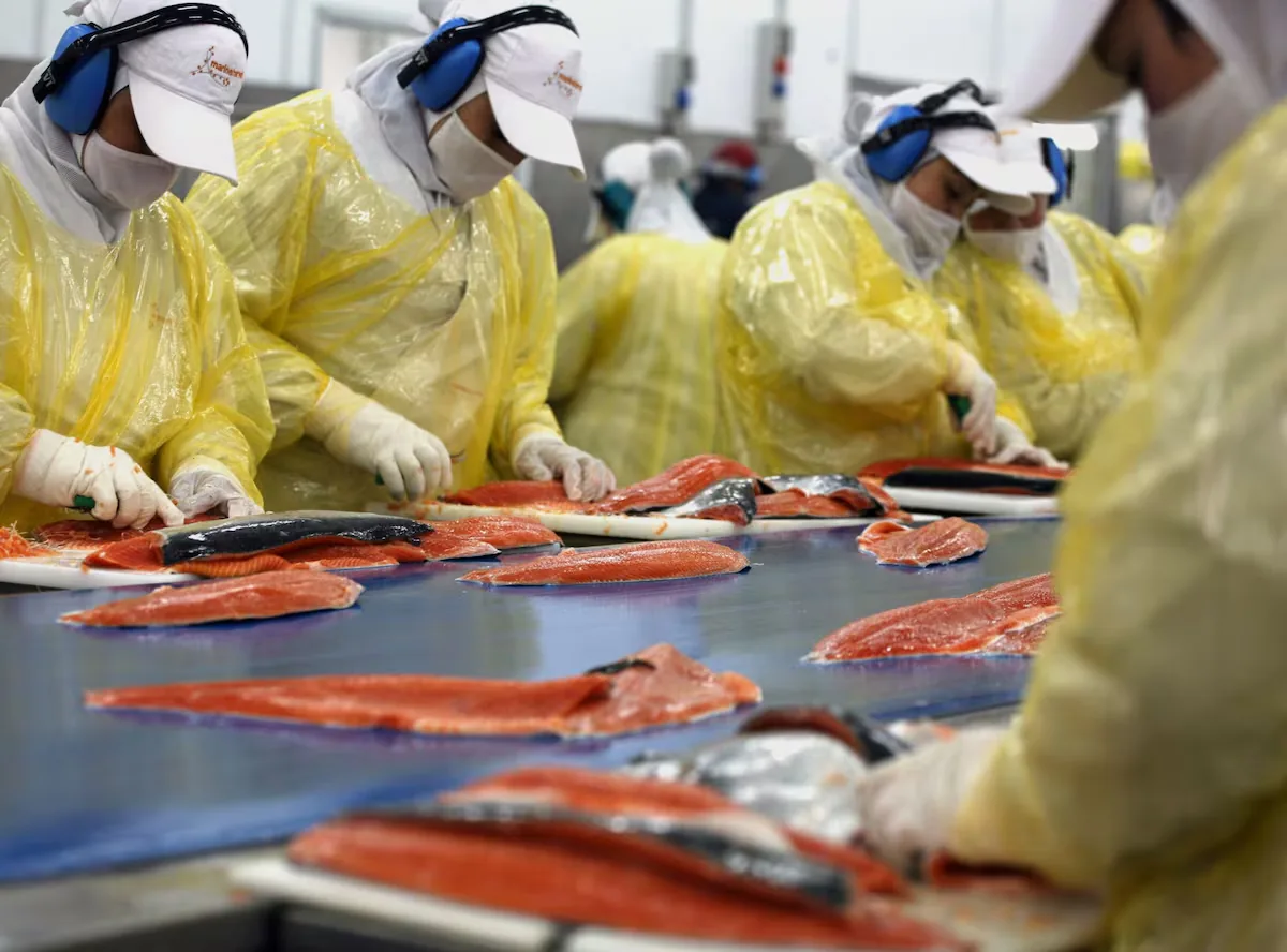 Kast's government seeks to save salmon, cherries, and wine from US tariffs