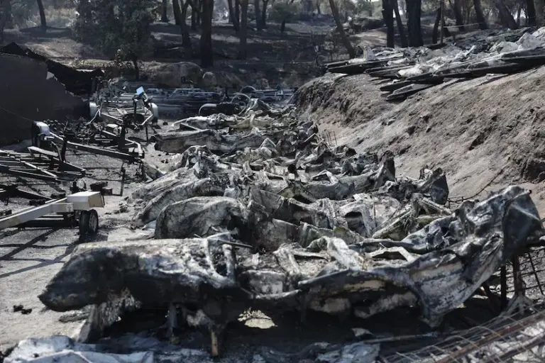 Unprecedented heat waves and the change in our relationship with the countryside: the cocktail behind the wildfires ravaging Spain