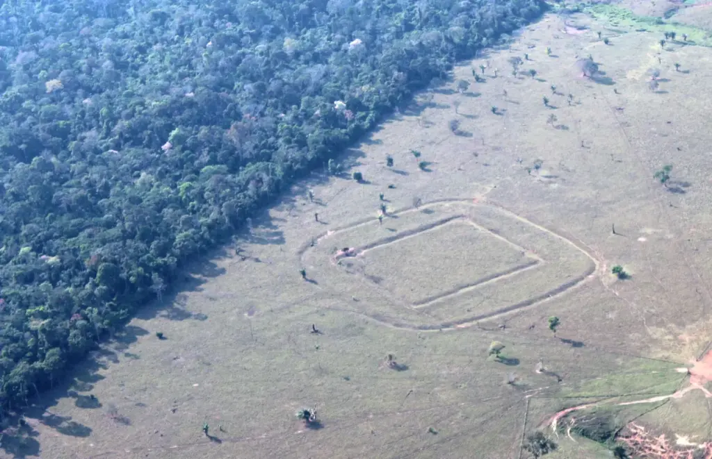 More than 20,000 geoglyphs hidden in the jungle reveal a densely inhabited precolonial Amazon