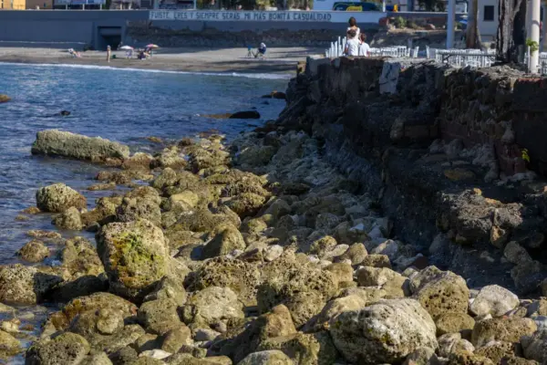 Operation Limpet: 40 specimens of an endangered mollusc moved to expand Malaga's most emblematic beach