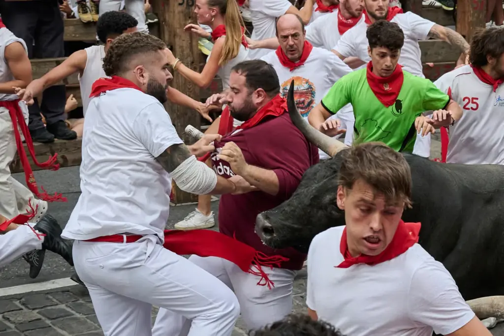 The nobility and speed of the miuras allow exciting races in a clean seventh running of the San Fermín
