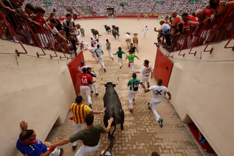 The nobility and speed of the miuras allow exciting races in a clean seventh running of the San Fermín