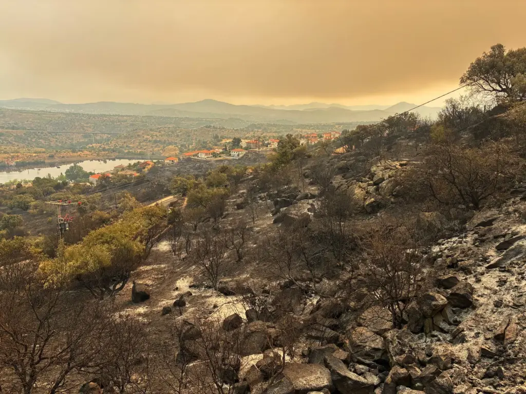 Fire, rage and overwhelmed firefighters in the Iruelas Valley (Ávila): “It was a column of black smoke as if tires were burning”