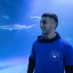 The Oceanogràfic of Valencia names one of its grey sharks Ferran Torres