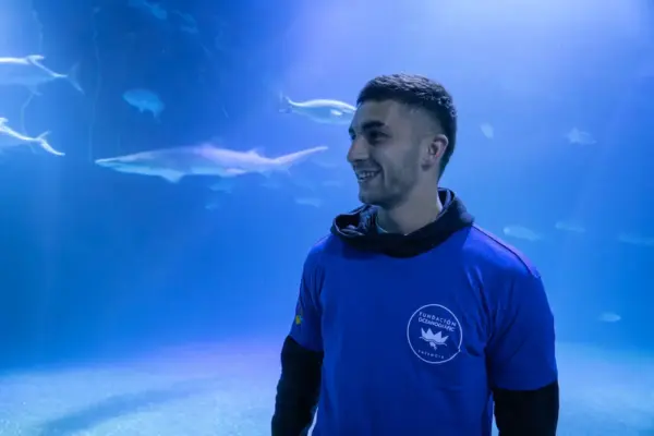 The Oceanogràfic of Valencia names one of its grey sharks Ferran Torres