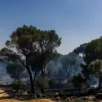 Latest news on wildfires, live | Wind complicates extinguishing fires in the Community of Madrid