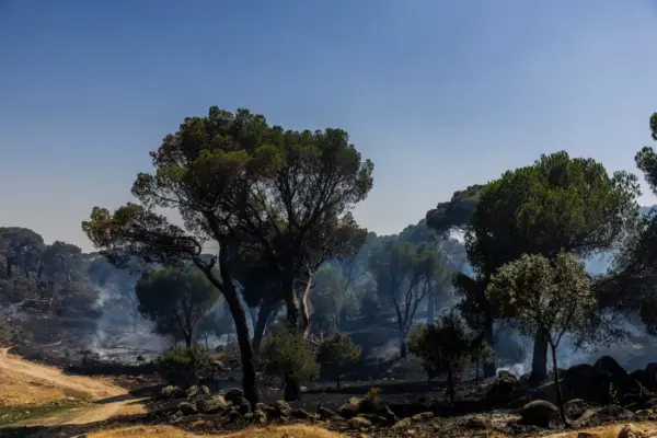 Latest news on wildfires, live | Wind complicates extinguishing fires in the Community of Madrid