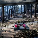 Experiencing the Ávila fire with the Gómez family: “The Civil Guard wanted to arrest us for cutting down some trees to prevent the fire from reaching the restaurant”