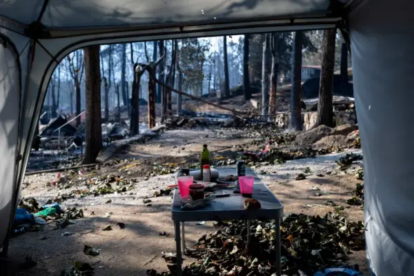 Experiencing the Ávila fire with the Gómez family: “The Civil Guard wanted to arrest us for cutting down some trees to prevent the fire from reaching the restaurant”