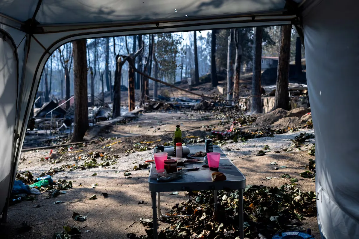 Experiencing the Ávila fire with the Gómez family: “The Civil Guard wanted to arrest us for cutting down some trees to prevent the fire from reaching the restaurant”