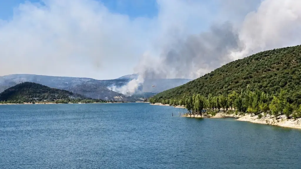 El incendio de Guadalajara entra en fase de “estabilización” tras arrasar más de 32.000 hectáreas
