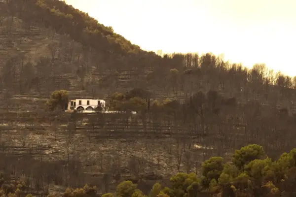 12 municipalities evacuated due to the La Vall d’Uixó fire are part of the Sierra de Espadán natural park, the green lung of Castellón