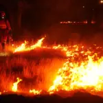 Latest news on wildfires, live | Work in the western Sierra of Madrid focuses on the area around the Cofio River, one of the critical points