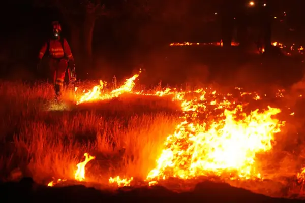 Latest news on wildfires, live | Work in the western Sierra of Madrid focuses on the area around the Cofio River, one of the critical points