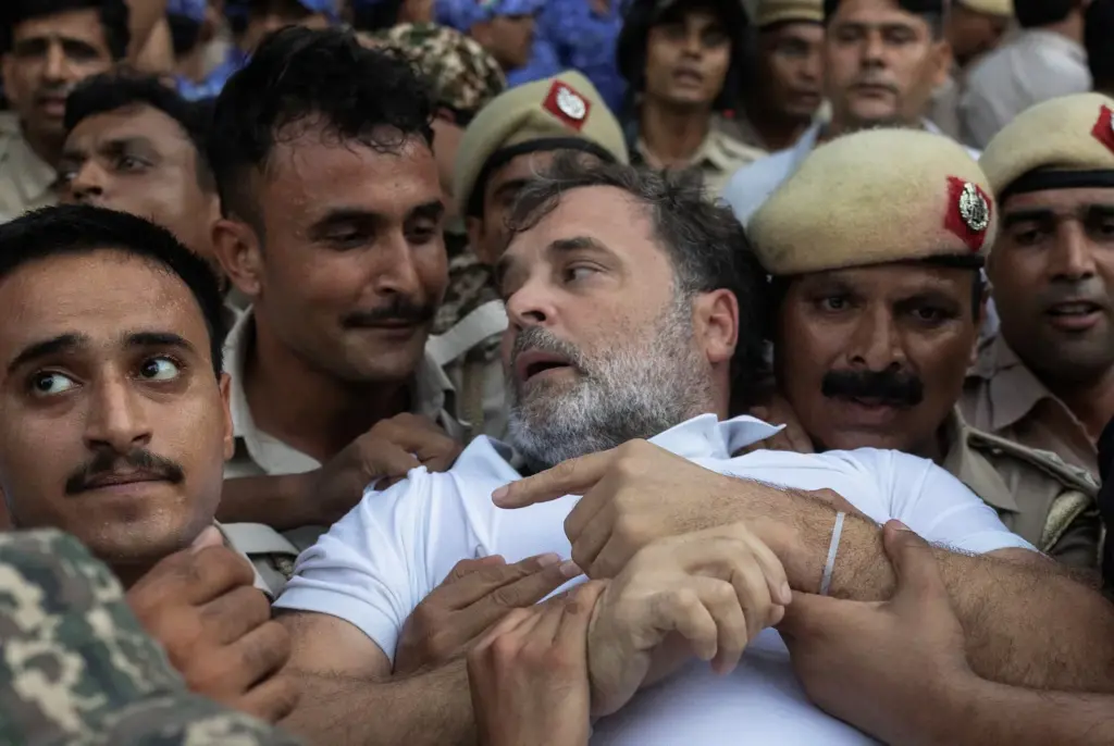 Who are the 'cockroaches' behind the massive demonstrations in India, and what do they want?