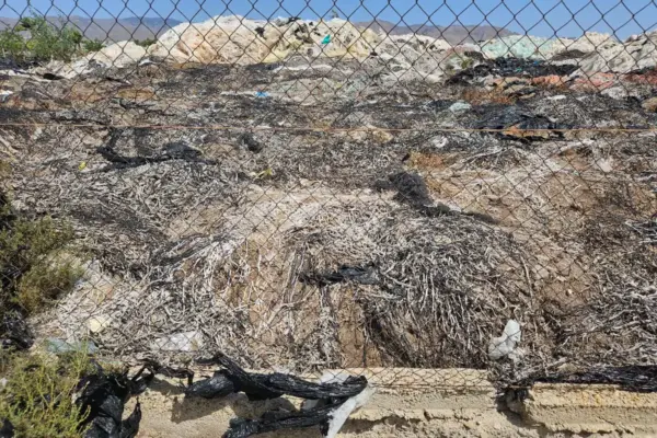 The case of Boqueras Altas, a plot that is pure plastic with tons of waste, explains the problem of Almería