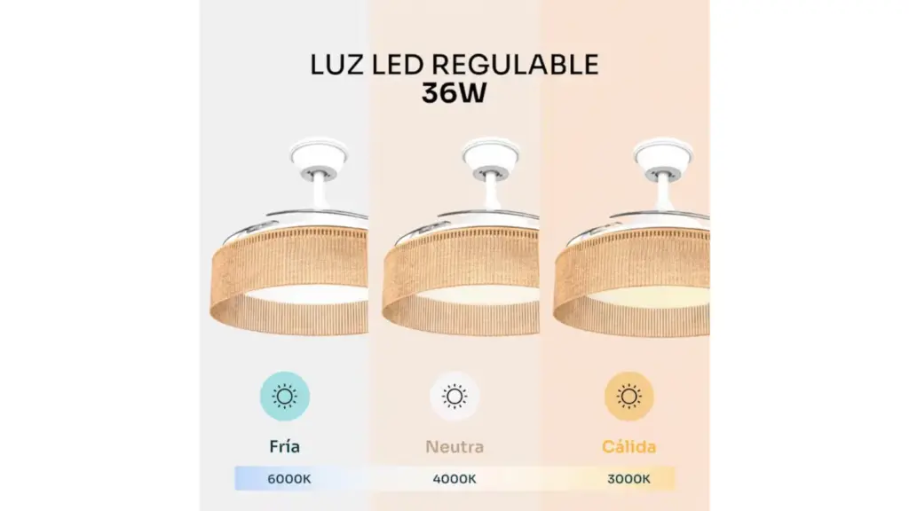 This ceiling fan doesn't look like a fan and is ideal for any decor