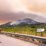 Anatomy of an eviction: “I saw the fire advancing towards my house”