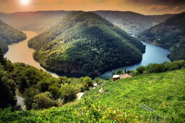 Unesco halts the candidacy of Ribeira Sacra for World Heritage status