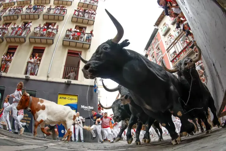 The nobility and speed of the miuras allow exciting races in a clean seventh running of the San Fermín