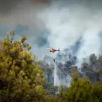 Arrested the alleged arsonist who caused the fire that confined 33,000 neighbors in Anoia