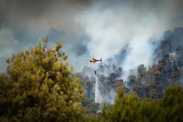 Arrested the alleged arsonist who caused the fire that confined 33,000 neighbors in Anoia