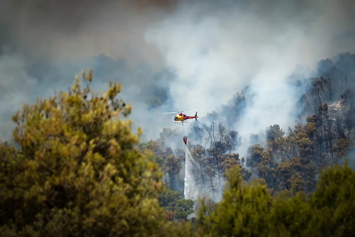 Arrested the alleged arsonist who caused the fire that confined 33,000 neighbors in Anoia