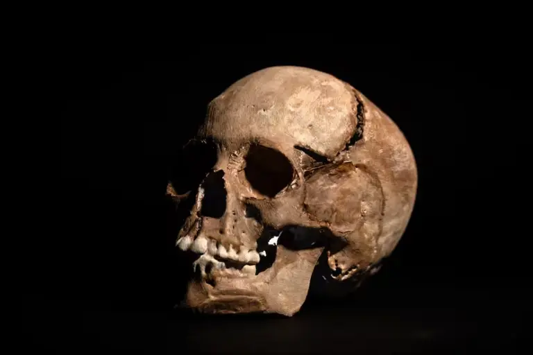 An investigation reveals that the Child of Cerro El Plomo died from a cranial trauma during an Inca ritual, and not from hypothermia