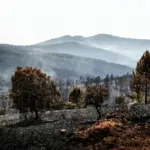 The Guadalajara fire enters "stabilization" phase after devastating more than 32,000 hectares