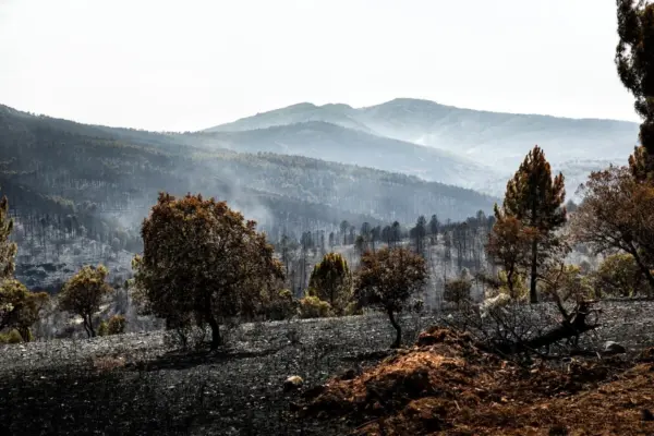 The Guadalajara fire enters "stabilization" phase after devastating more than 32,000 hectares