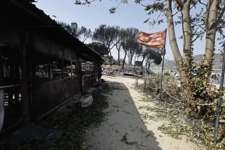 Unprecedented heat waves and the change in our relationship with the countryside: the cocktail behind the wildfires ravaging Spain