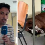 Los desalojados con mascota en Villamanta: “Lo primero que hice fue coger a mi perro”