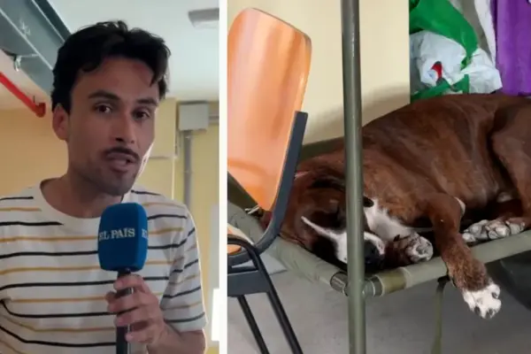 Los desalojados con mascota en Villamanta: “Lo primero que hice fue coger a mi perro”
