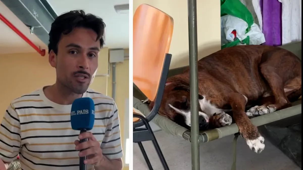 Los desalojados con mascota en Villamanta: “Lo primero que hice fue coger a mi perro”