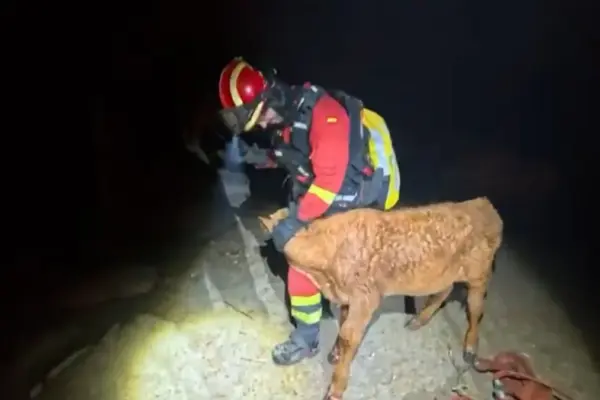 300,000 kilos of fodder to supply livestock farms in the Madrid fires