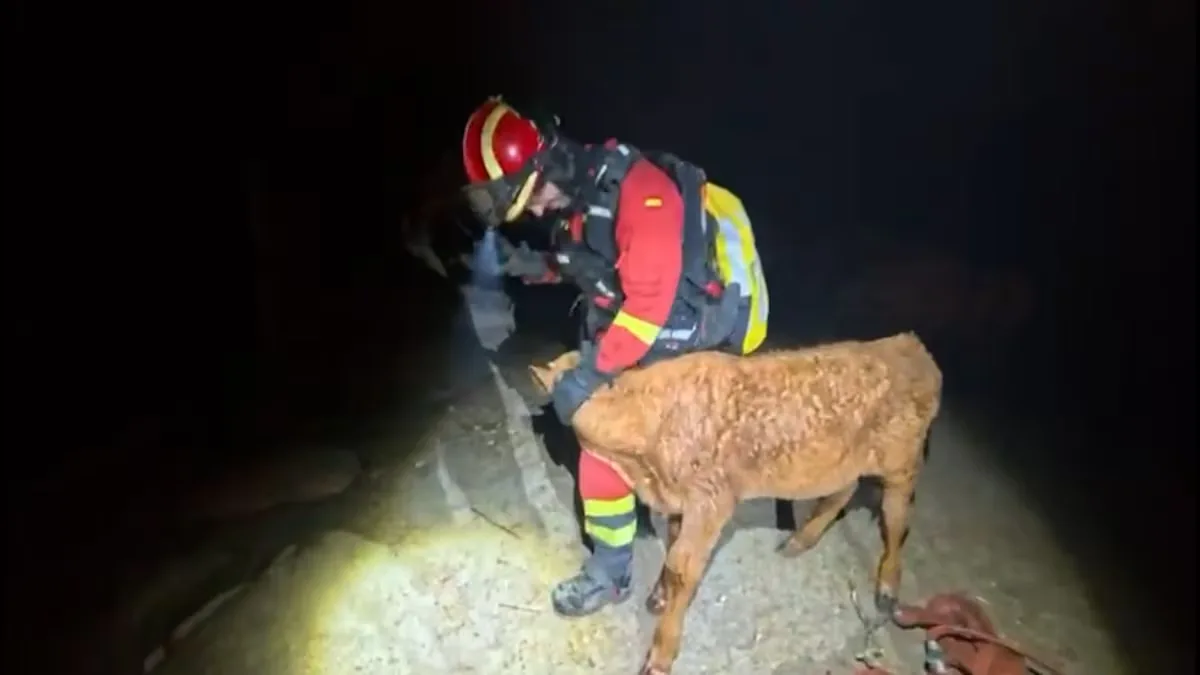 300,000 kilos of fodder to supply livestock farms in the Madrid fires