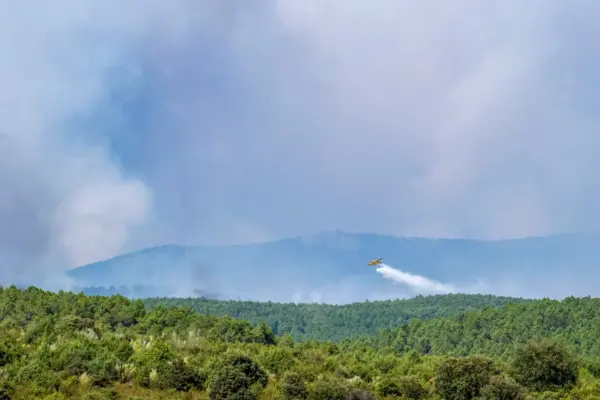 Latest news on wildfires, live | The fire in the northern sierra of Guadalajara exceeds 13,000 hectares and forces the evacuation of 800 people in 21 municipalities