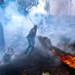 The return of fire