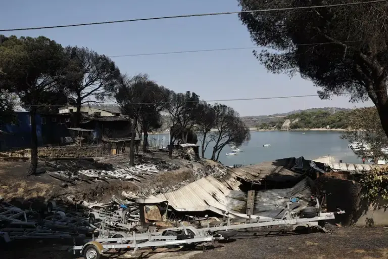 Unprecedented heat waves and the change in our relationship with the countryside: the cocktail behind the wildfires ravaging Spain