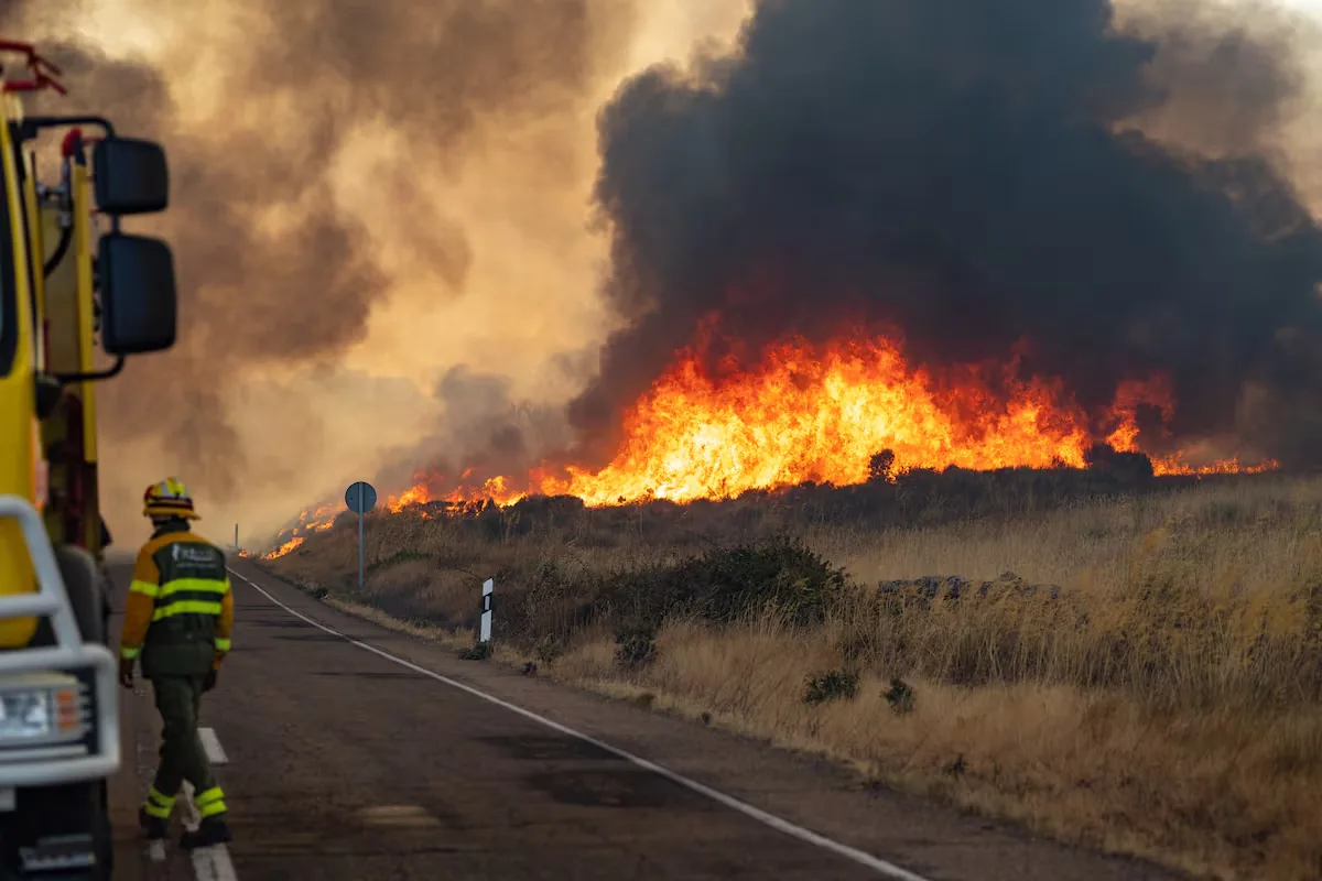 12 villages in Zamora evacuated after a fire in the Arribes del Duero