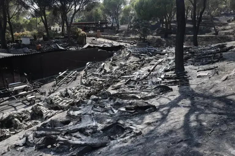 Unprecedented heat waves and the change in our relationship with the countryside: the cocktail behind the wildfires ravaging Spain