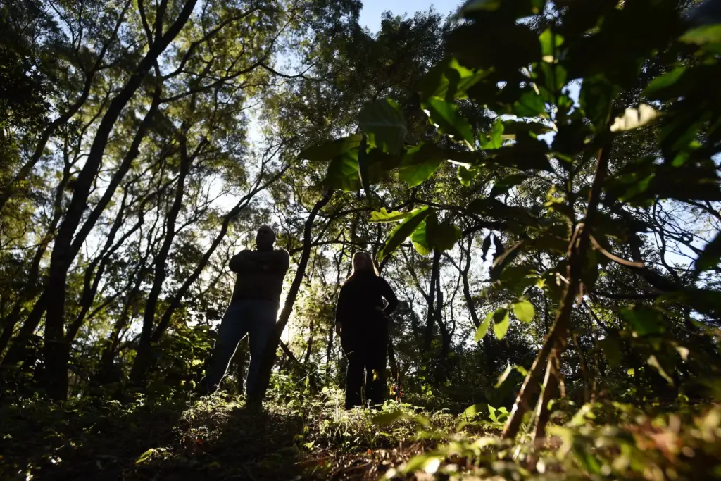 Northern Argentina seeks a place on the coffee map