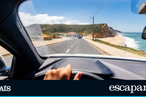 Before you start, check this list: 10 essentials to carry in the car (including the V-16 light)