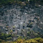 Unprecedented heat waves and the change in our relationship with the countryside: the cocktail behind the wildfires ravaging Spain