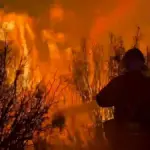 Latest news on wildfires, live | Three active fires burn nearly 15,000 hectares in Zaragoza, Guadalajara, and the Community of Madrid