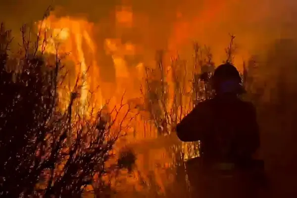Latest news on wildfires, live | Three active fires burn nearly 15,000 hectares in Zaragoza, Guadalajara, and the Community of Madrid