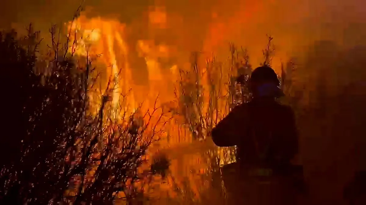 Latest news on wildfires, live | Three active fires burn nearly 15,000 hectares in Zaragoza, Guadalajara, and the Community of Madrid