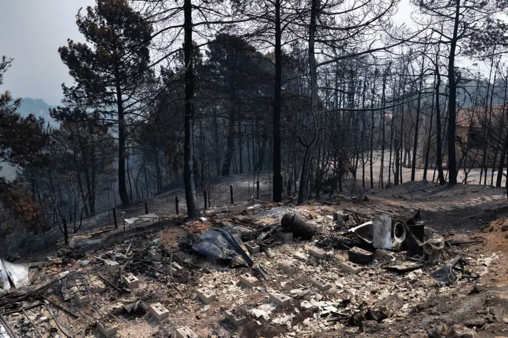 The Watchtower sweeps the ashes of the fire and faces the looting